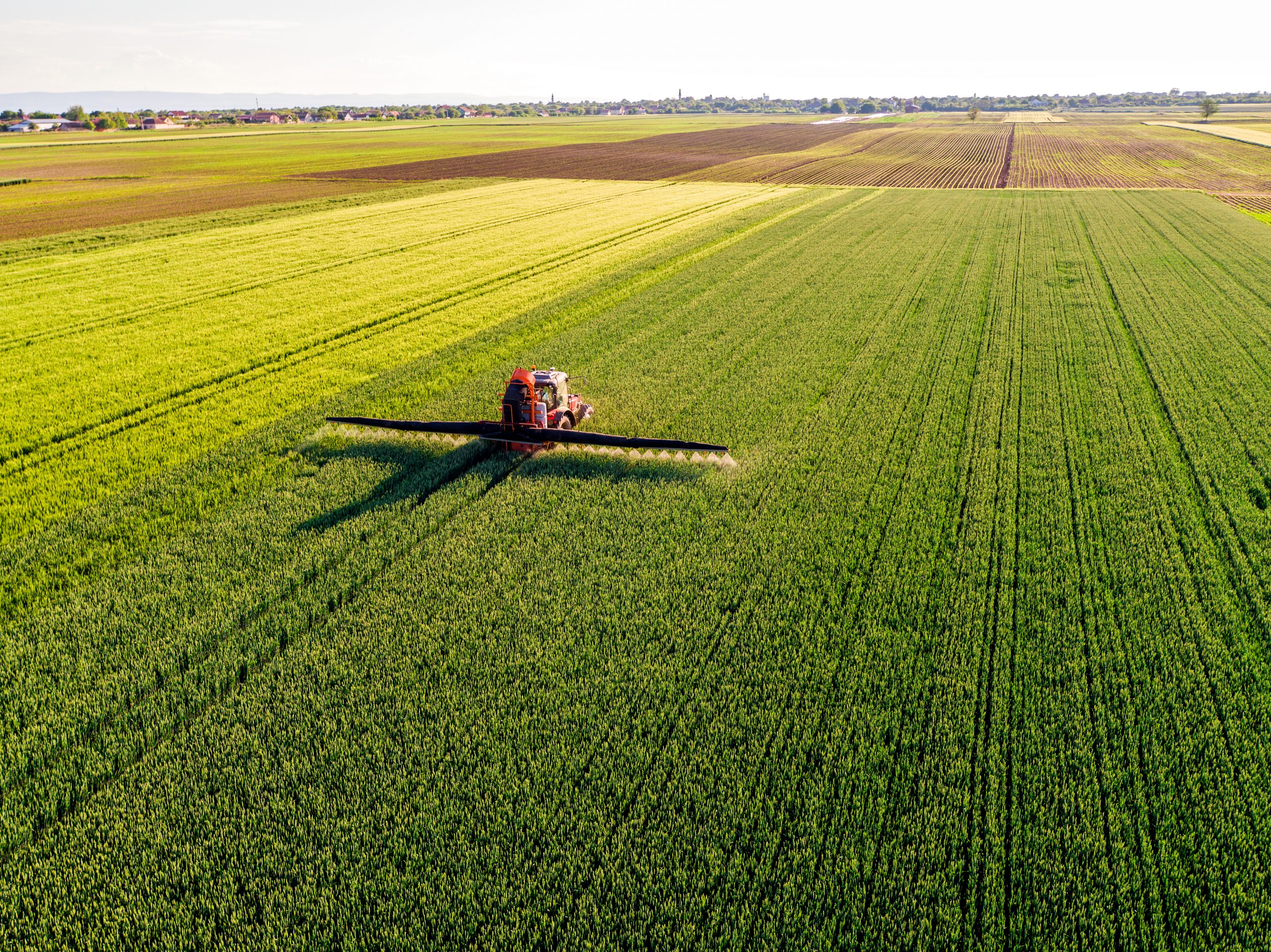 FOTO_Soluciones-de-conectividad-e-internet-de-las-cosas-aplicadas-al-sector-agropecuario-scaled