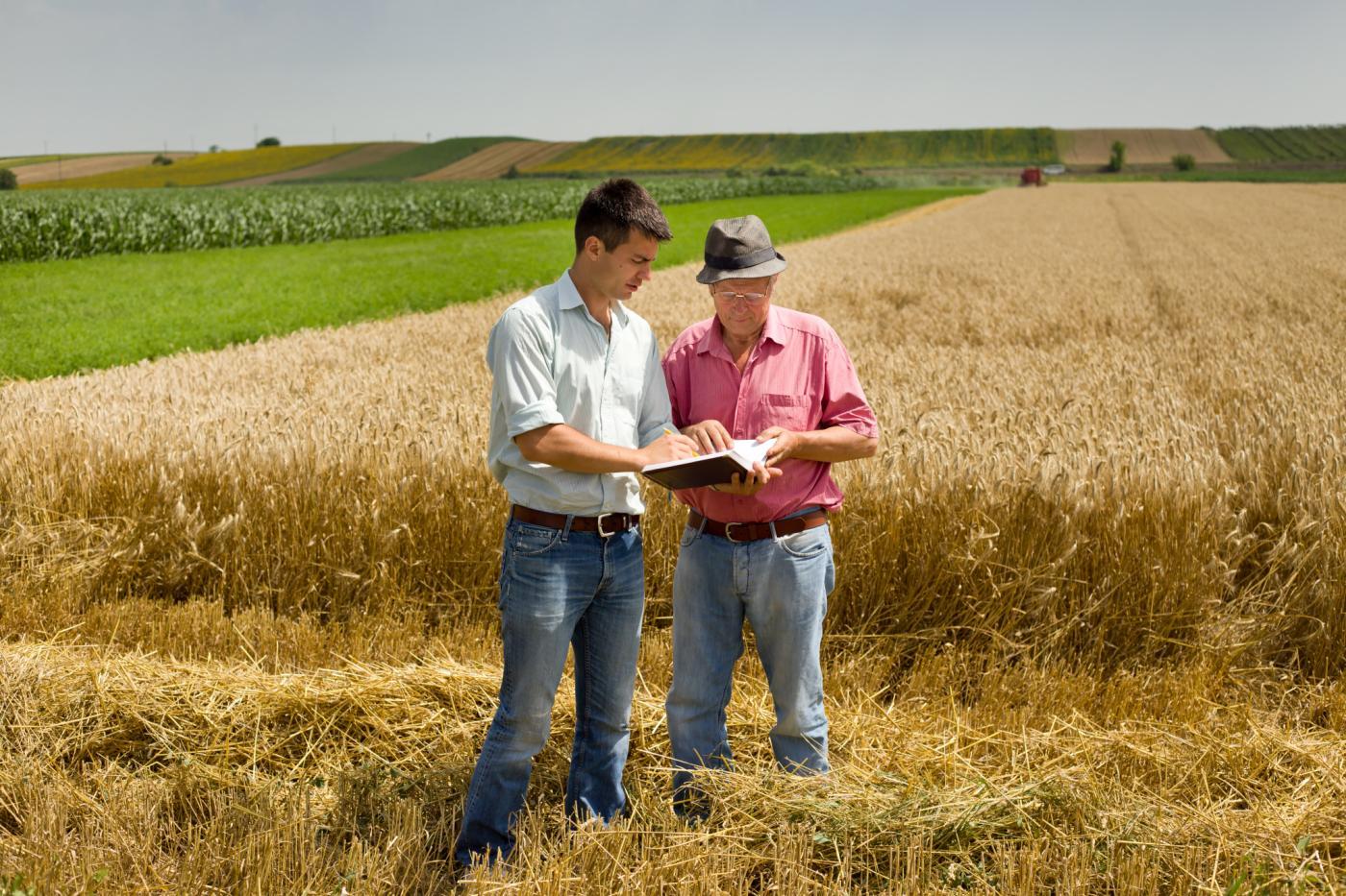 proyecto-de-inversión-en-sector-agropecuario